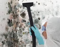 Best Mold Prevention Services  in Yoakum, TX